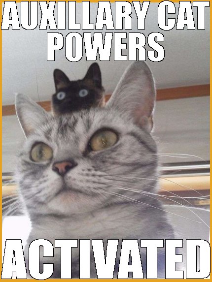 auxillary cat power - no deposit casino