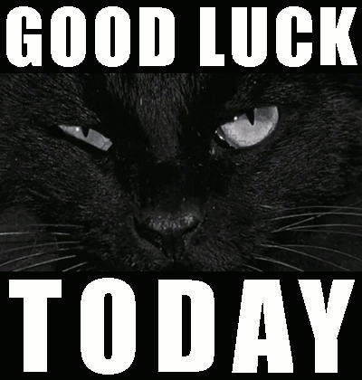 Black Cats Matter good luck black cat online casino